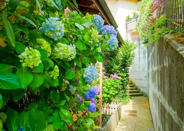 Casa Salea Σπίτι διακοπών